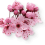 left-side-sakura.png left-side-sakura.png